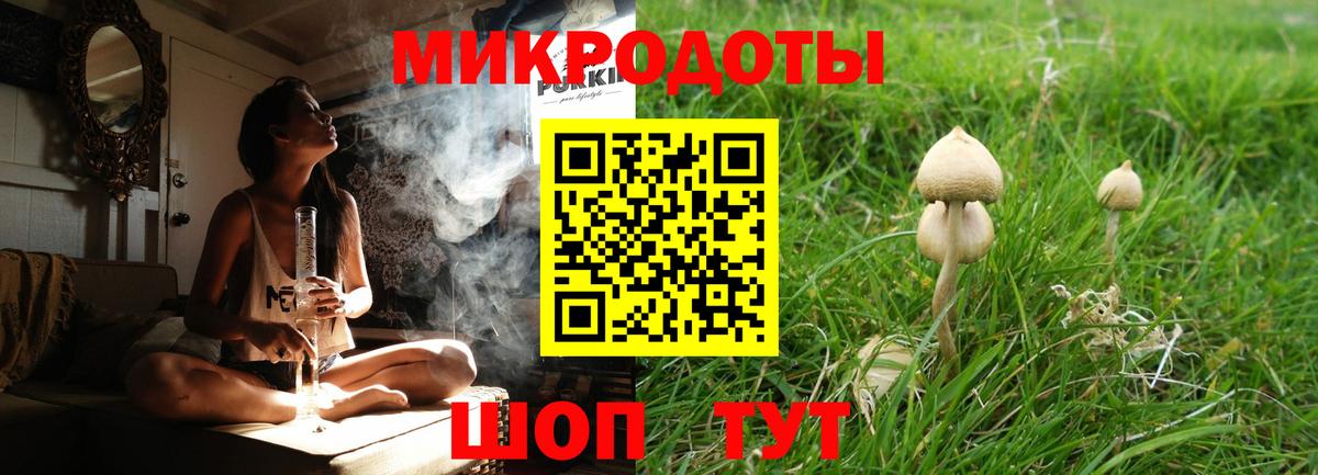 Псилоцибиновые грибы MAGIC MUSHROOMS Великий Устюг