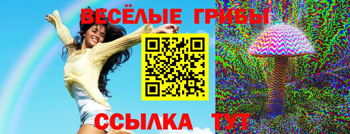 Псилоцибиновые грибы Cubensis  Псилоцибиновые грибы Psilocybine cubensis  Великий Устюг 